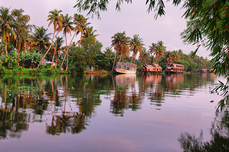 india kerala_ok